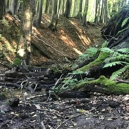 Homelig Altstadt Ferienwohnungen Sassnitz Fewo 4 Kültér fotó